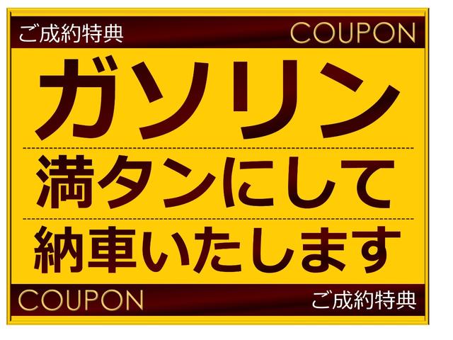 アルトラパン G ディスプレイオーディオ バックカメラ ETC(6枚目)
