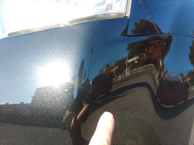 �t�����g�o���p�[����ȑ��ɎC�菝����܂�