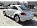 VOLKSWAGEN THE BEETLE