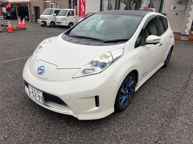 リーフ X エアロスタイル(30kwh)(7枚目)