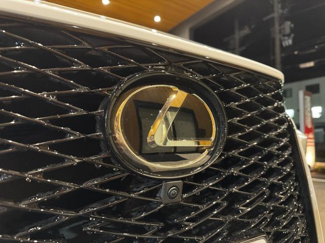 ＮＸ ＮＸ３５０ｈ　Ｆスポーツ　ＮＸ３５０ｈ　Ｆスポーツ　純正ナビ　パノラマルーフ　パノラミックビューモニター　赤黒レザーシート　パワーバックドア　衝突軽減ブレーキ　レーダークルーズコントロール　パワーシート　シートヒーター（12枚目）