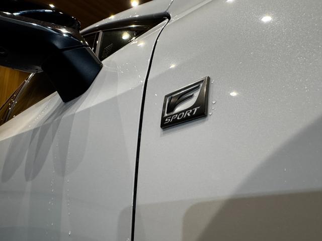 ＮＸ ＮＸ３５０ｈ　Ｆスポーツ　ＮＸ３５０ｈ　Ｆスポーツ　純正ナビ　パノラマルーフ　パノラミックビューモニター　赤黒レザーシート　パワーバックドア　衝突軽減ブレーキ　レーダークルーズコントロール　パワーシート　シートヒーター（17枚目）