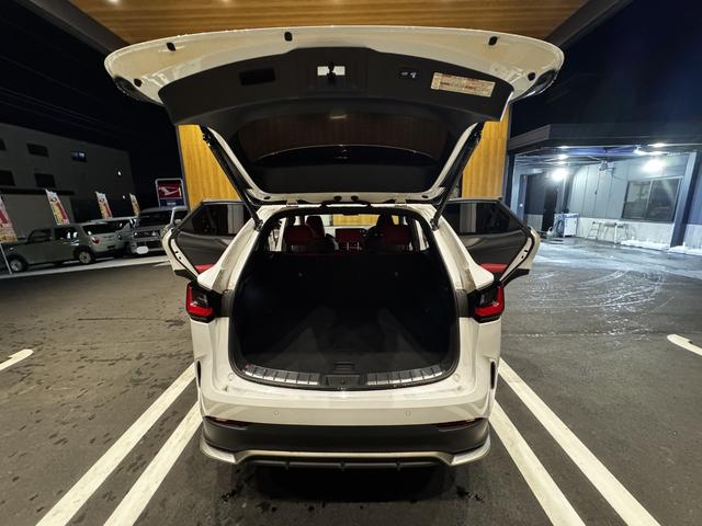 ＮＸ ＮＸ３５０ｈ　Ｆスポーツ　ＮＸ３５０ｈ　Ｆスポーツ　純正ナビ　パノラマルーフ　パノラミックビューモニター　赤黒レザーシート　パワーバックドア　衝突軽減ブレーキ　レーダークルーズコントロール　パワーシート　シートヒーター（23枚目）