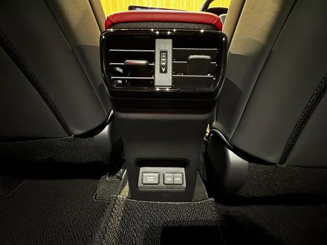 ＮＸ ＮＸ３５０ｈ　Ｆスポーツ　ＮＸ３５０ｈ　Ｆスポーツ　純正ナビ　パノラマルーフ　パノラミックビューモニター　赤黒レザーシート　パワーバックドア　衝突軽減ブレーキ　レーダークルーズコントロール　パワーシート　シートヒーター（39枚目）