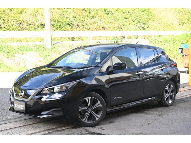 リーフ Ｘ　走行無制限１年保証　ナビ　ＴＶ　バックカメラ　ＥＴＣ　Ｂｌｕｅｔｏｏｔｈ接続　シートヒーター　ハンドルヒーター　ＥＴＣ　純正ＡＷ　スマートキー　ＵＳＢ接続　衝突被害軽減ブレーキ（11枚目）