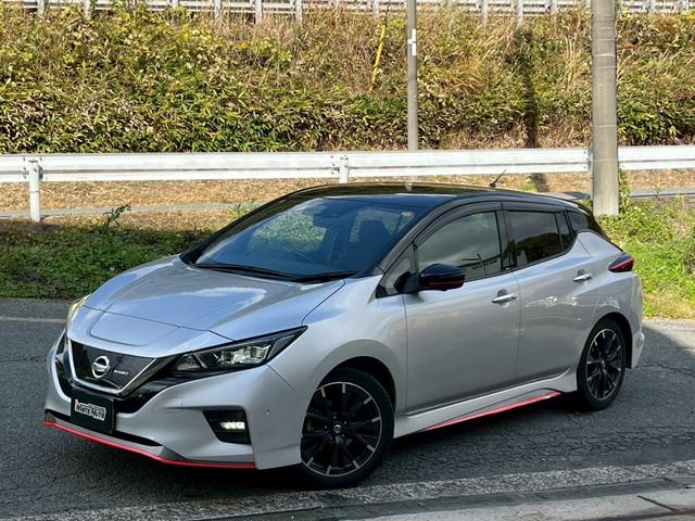 リーフ ニスモ　全方位カメラ　デジタルインナーミラー　ナビ　ＴＶ　ＥＴＣ　シートヒーター　衝突軽減ブレーキ　スマートキー　レーンキープアシスト　スマートキー　クルコン　ＬＥＤヘッドライト（11枚目）