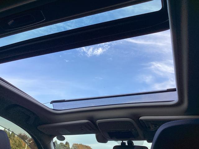 フォレスター プレミアム 4WD 純正8型ナビ フルセグTV ブルートゥース DVD再生 サイド・バックカメラ ETC ドラレコ サンルーフ 黒革電動シート シートヒーター パワーバックドア 柿本マフラー 社外18インチAW LED(22枚目)