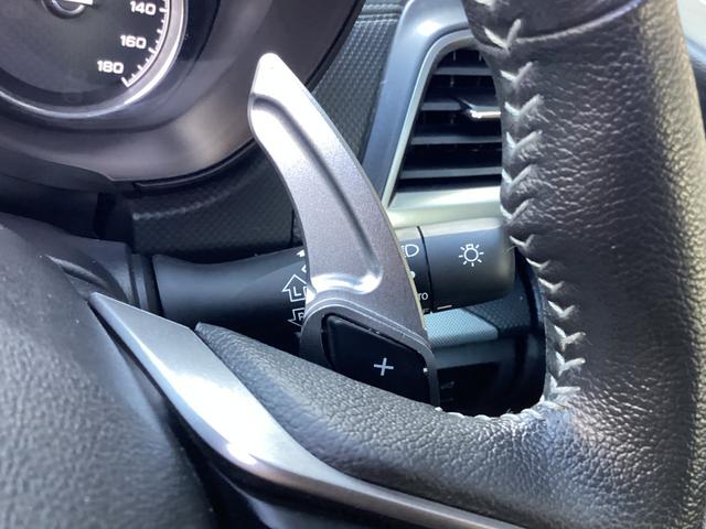 フォレスター プレミアム 4WD 純正8型ナビ フルセグTV ブルートゥース DVD再生 サイド・バックカメラ ETC ドラレコ サンルーフ 黒革電動シート シートヒーター パワーバックドア 柿本マフラー 社外18インチAW LED(29枚目)