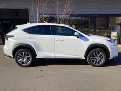 �Σ� �Σأ����������ɥѥå����������ףġ�����̣ţĥإåɥ饤�ȡ��������꡼�ʥ� 0171025A30251206W001 7