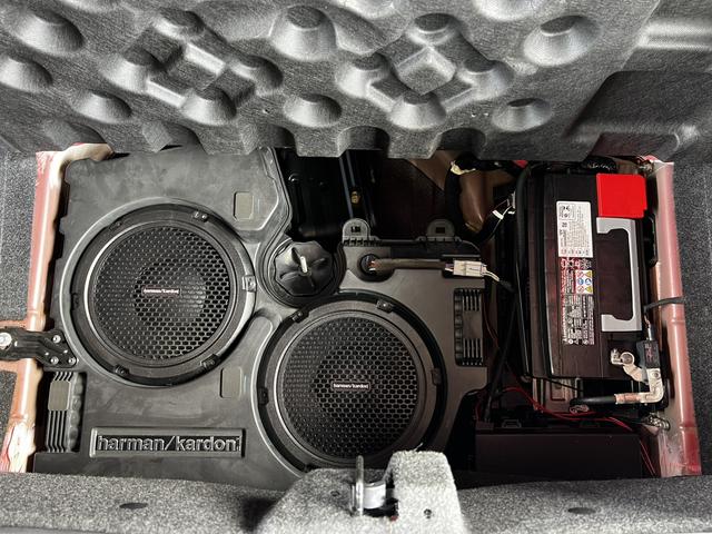 ダッジ・チャレンジャー Ｒ／Ｔ　５０ａｎｎｉｖｅｒｓａｒｙ　左ハンドル　ドライブレコーダー　バックカメラ　クリアランスソナー　オートクルーズコントロール　ＡＴ　サンルーフ　オートライト　スマートキー　アルミホイール　ＥＳＣ　ＵＳＢ（54枚目）