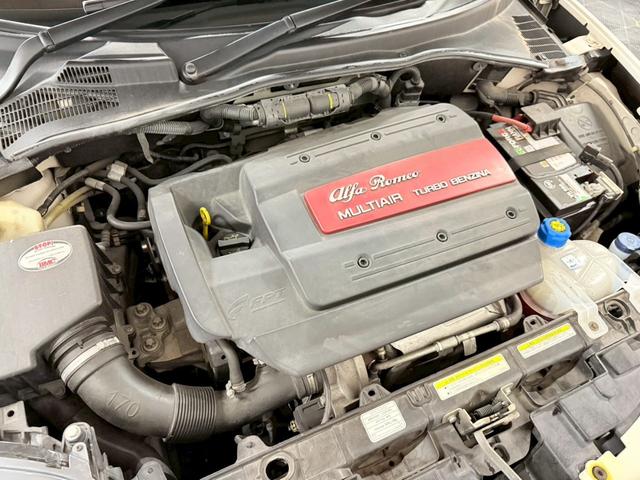 ミト クアドリフォリオ　ヴェルデ（49枚目）