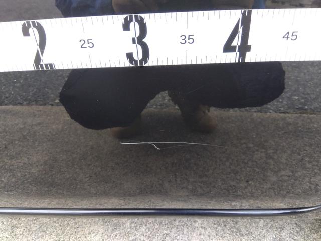 タント ワンダフルセレクション　検Ｒ８／５　ワンセグ　Ｂカメラ　片側電動スライドドア　インテリキー　キーフリーシステム　盗難防止　パワーウインドウ　エアバッグ　ＰＳ　ベンチシート　衝突安全ボディ　エアコン付　両席エアバック　修復リア（37枚目）