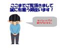 ＤＸ　検２年　福祉車両　スローパー　パワーステアリング　エアコン　運転席エアバック　ＥＴＣ車載器(32枚目)