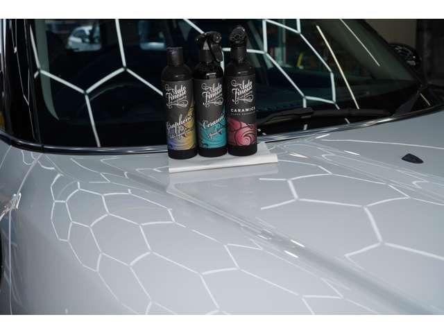 ＭＩＮＩ クーパーＤ　クロスオーバー　ＥＴＣ　ツートン　ルーフレール　盗難防止装置（6枚目）