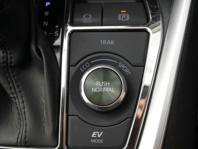 ＲＡＶ４ 　Ｒｏｗｅｎエアロ　Ｒｏｗｅｎ２０　ＡＷ　禁煙　パノラマルーフ　ＴＲＤオーバーフェンダー　社外リアウイング　寒冷地仕様　純正９型ＳＤナビ　ドラレコ　ＬＥＤルームランプ　シートヒーター追加カスタムオーダー（54枚目）