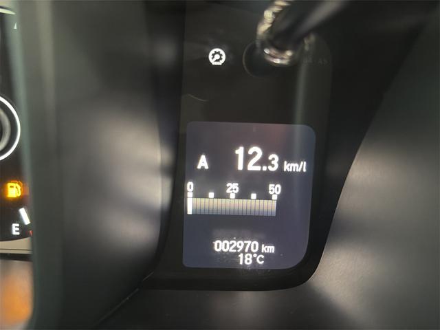 N-WGN Lホンダセンシング ドライブレコーダー ETC バックカメラ ナビ TV クリアランスソナー オートクルーズコントロール レーンアシスト 衝突被害軽減システム スマートキー アイドリングストップ 電動格納ミラー(26枚目)