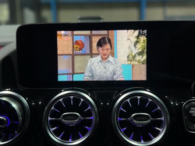 Ｂクラス Ｂ２００ｄ　ＡＭＧライン（49枚目）