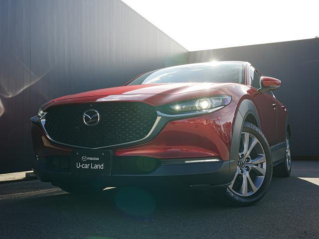 CX-30 20S Lパッケージ 衝突被害軽減システム アダプティブクルーズコントロール 全周囲カメラ オートマチックハイビーム 革シート 電動シート シートヒーター バックカメラ オートライト LEDヘッドランプ ETC(18枚目)