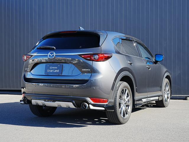 ���������J�^�`�ɂ���f�U�C���A���ꂪ�}�c�_�́u�����f�U�C���v�B�����I�Ő����͂��ӂ�鑢�`�ɂ������A���̃J�^�`�ɍ��𐁂����݂܂����B�ЂƂ̎�ł���ꂽ���������A�����ɂ͂���܂��B