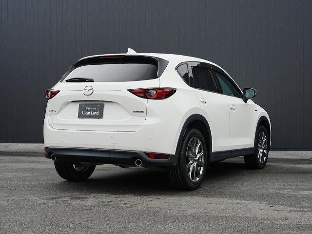 ������̂��Ԃ̂��_��ɂ͂����X�ł̌��Ԋm�F��K�{�����Ƃ����Ă��������܂�