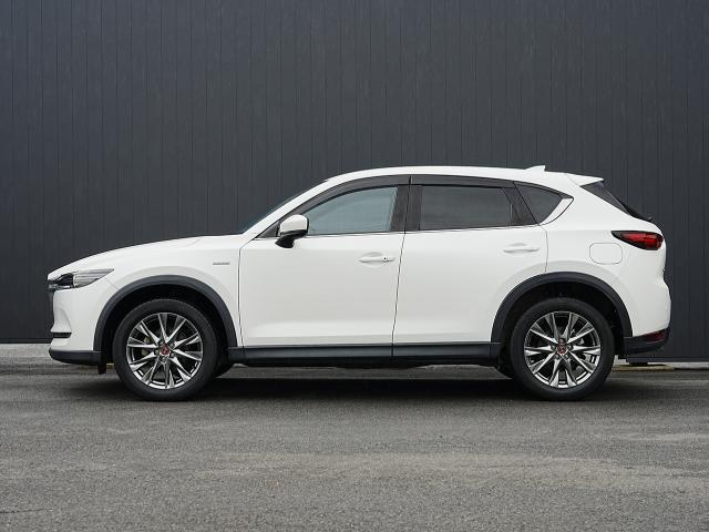 ������̂��Ԃ̂��_��ɂ͂����X�ł̌��Ԋm�F��K�{�����Ƃ����Ă��������܂�