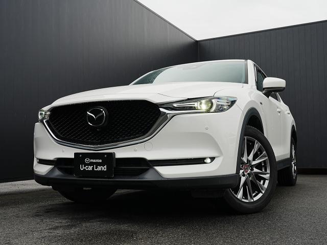 ������̂��Ԃ̂��_��ɂ͂����X�ł̌��Ԋm�F��K�{�����Ƃ����Ă��������܂�