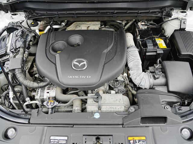 ������̂��Ԃ̂��_��ɂ͂����X�ł̌��Ԋm�F��K�{�����Ƃ����Ă��������܂�