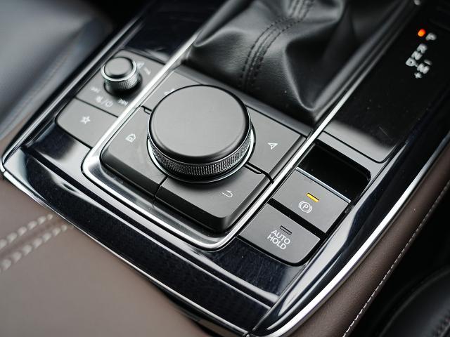 �i�r���I�[�f�B�I����_�C�����u�R���g���[���R�}���_�[�v�͎��R�Ǝ�̐G���ʒu�ɔz�u����Ă��܂��B�ڐ����O�����ƂȂ��茳�ő���ł��܂��B