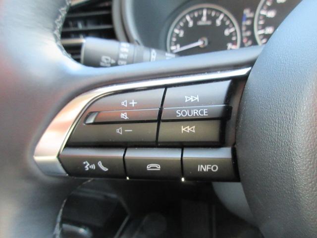 �X�e�A�����O�ɂ͊e��X�C�b�`��z�u�B����͎�ɃI�[�f�B�I�̑�����A�E��́u���[�_�[�N���[�Y�R���g���[���v�̑�����s���܂��B