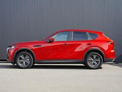 ��ư�ǥ�����Τ���ʤ뿼���ȿʲ����Ҥ��ܤǴ������롢��������������󥰡� 3