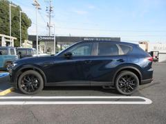 ��ư�ǥ�����Τ���ʤ뿼���ȿʲ����Ҥ��ܤǴ������롢��������������󥰡� 3