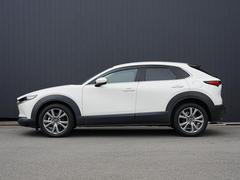 �ץ쥹�饤�������Ӥ������������̤Υ����ɥӥ塼������ȿ�ͤ�ʿ��αǤ���ߤ�ư����ɽ�����Ƥ��ޤ��� 3