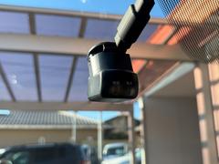 ɥ饤֥쥳夵ƤޤΤǡλΤλǤ¿Ǥ 7