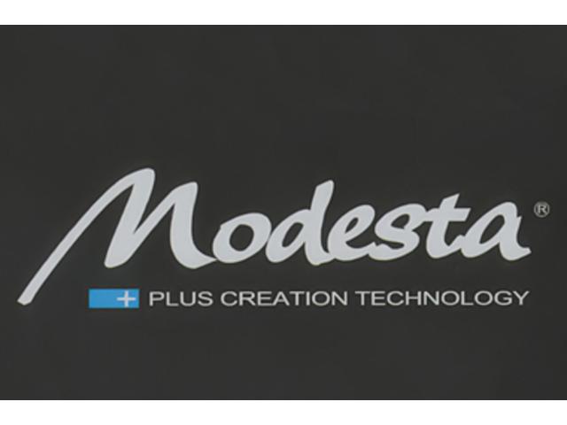 500 1.2 カルト カルト 純正ディスプレイオーディオ carplay デュアロジックAT ドライブレコーダー クルーズコントロール ETC バックカメラ アイドリングストップ キーレス 純正ホイルキャップ(52枚目)