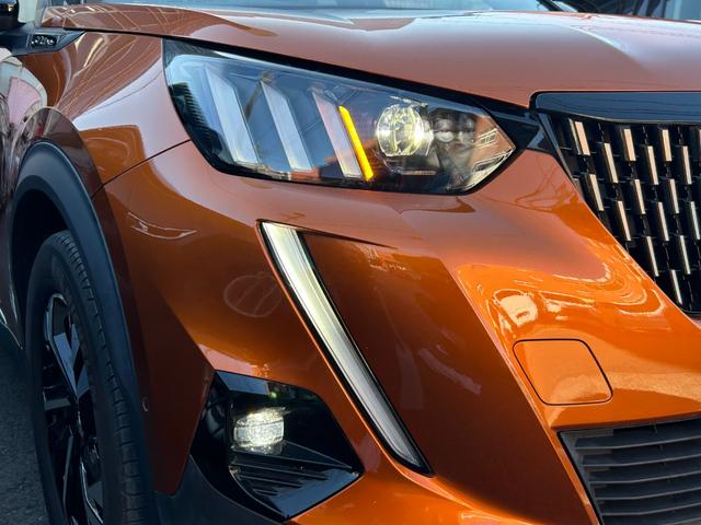 �k�d�c�f�C�^�C���E�����j���O���C�g����