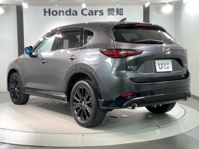 ＣＸ－５ ２５Ｓスポーツアピアランス　革シート１年保証純正ナビフルセグ　スマートキープッシュスタート　レザーシート　ＥＴＣ車載器　前席シートヒーター　４ＷＤ　パワーシート　キーレスエントリー　ＬＥＤヘッドランプ　ナビＴＶ　バックカメラ（47枚目）