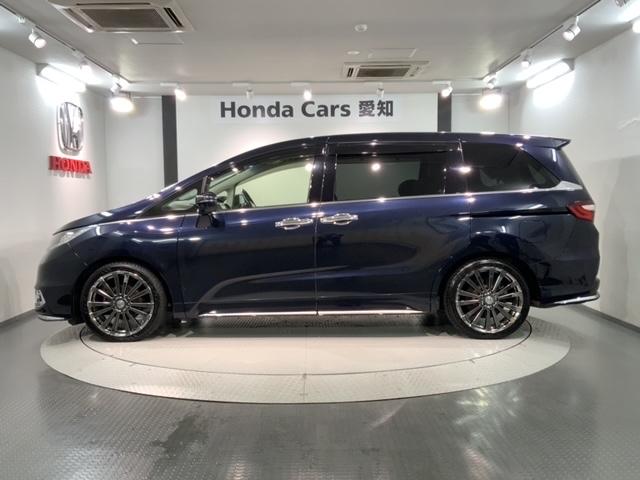 オデッセイ アブソルート・EX あんしんPKG 1年保証 純正ナビ TV Rカメラ マルチビュ- BTオ-ディオ DVD Rモニタ- ETC LEDライト 両側電動ドア VSA アルミ スマ-トキ- スペアキー 盗難防止装置 AAC(47枚目)