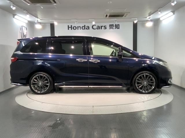 オデッセイ アブソルート・EX あんしんPKG 1年保証 純正ナビ TV Rカメラ マルチビュ- BTオ-ディオ DVD Rモニタ- ETC LEDライト 両側電動ドア VSA アルミ スマ-トキ- スペアキー 盗難防止装置 AAC(51枚目)