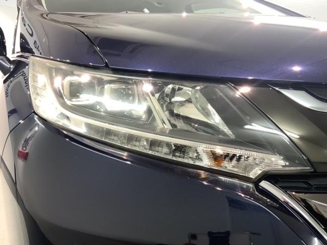 �k�d�c�w�b�h���C�g�́A�_���̏u�Ԃ���ő���ʂ𔭊����A�ˑR�Â��Ȃ�g���l���Ȃǂł̈��芴�����߂܂��B