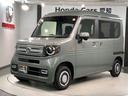 ファン・ターボ　ＨＳＥＮＳＩＮＧ新車保証試乗車ワンオーナー　パワーウィンドウ　Ｂカメ　パワステ　エアバック　エアコン　クルコン　ＡＢＳ　４ＷＤ　地デジ　横滑り防止　ＬＥＤ　スマートキー　ターボ　ＥＴＣ　記録簿（46枚目）