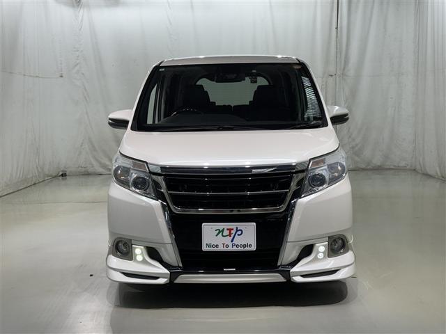 �G�X�N�@�C�A���ɂ������܂����I�����I�ȃt�����g�O�������������������o�����ł��B