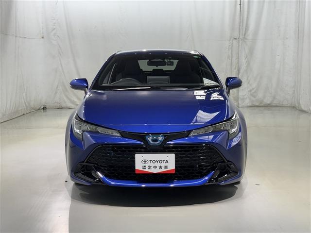 �X�|�[�e�B�ȃt�����g�r���[