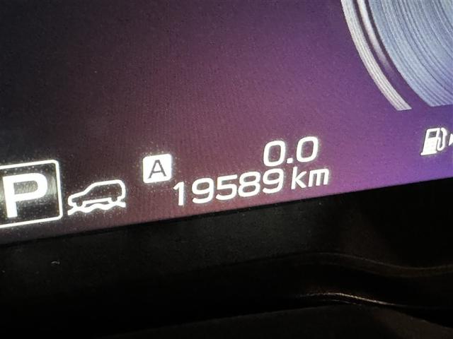 �B�e���̑��s�����ł��B