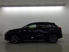 ή���褦�ʥܥǥ��饤��̥��Ū�Ǿ�ߤꤷ�䤹����ξ�Ǥ� 4