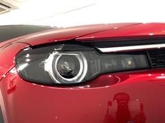 �̣ţĥإåɥ饤�Ȥϡ������νִ֤��������̤�ȯ�����������Ť��ʤ�ȥ�ͥ�ʤɤǤΰ��괶����ޤ��� 6