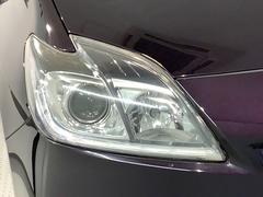 �ǥ������㡼���إåɥ饤����ܤǤ��ä������뤯�Ȥ餷�Ƥ����Τǡ�������Ԥ��Դ����ƻ�Ǥ�¿��Ǥ��� 7