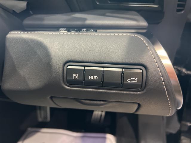 ＬＣ ＬＣ５００　Ｌパッケージ　ＴＲＤエアロキットトランクスポイラーマークレビンソンサウンドカラーＨＵＤ鍛造２１インチアルミホイールセミアリニン黒革パワーシート禁煙車ガラスルーフ（20枚目）