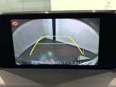 СǸɽڤؤޤ֤䱫֤ڤˤʤޤ衣 6