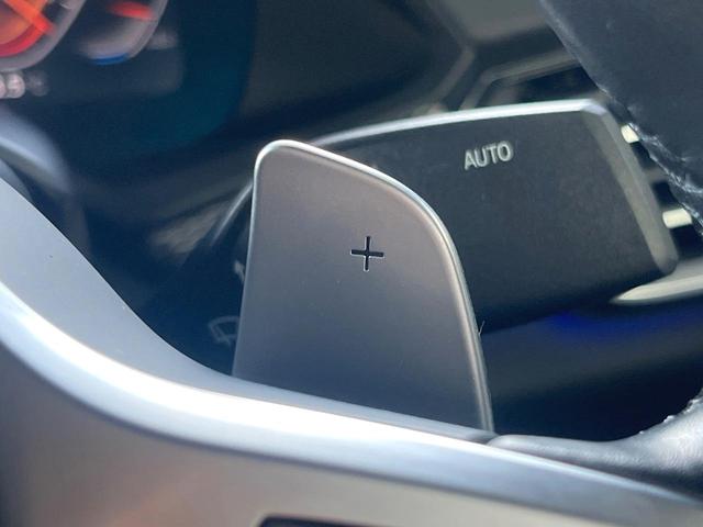 Ｘ６ ｘＤｒｉｖｅ　３５ｄ　Ｍスポーツ　プラスパッケージ　サンルーフ　ハーマンカードンサウンドシステム　ブラックレザーシート　純正２２オプションインチアルミホイール　全周囲カメラ　レーダークルーズコントロール　ＥＴＣ　１オーナー　禁煙車（25枚目）