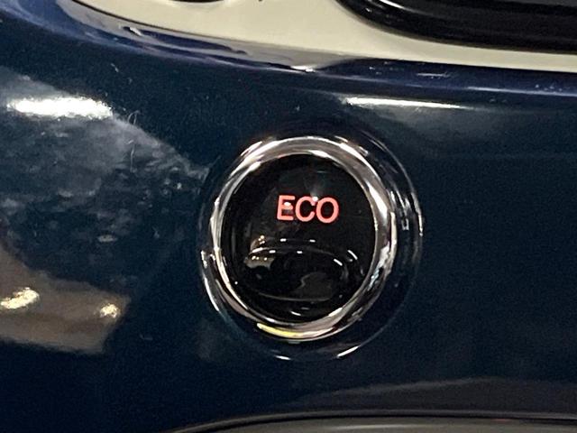 ５００ ザッフィロ　１００台限定車　ガラスルーフ　フラウ社製ブラウンレザーシート　カープレイ　Ｂｌｕｅｔｏｏｔｈ　ＨＩＤヘッドライト　フロントフォグライト　純正１６インチＡＷ　ＥＴＣ　オートエアコン　アイドリングストップ（31枚目）